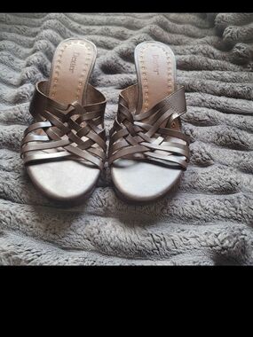 Dexter Women's Metallic Bronze Woven Slide Sandals